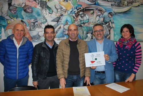 conferenza subbuteo